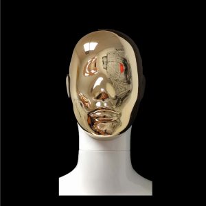 Female Abstract Glossy Gold Mannequin Head for Petra Mannequin (Leelu)