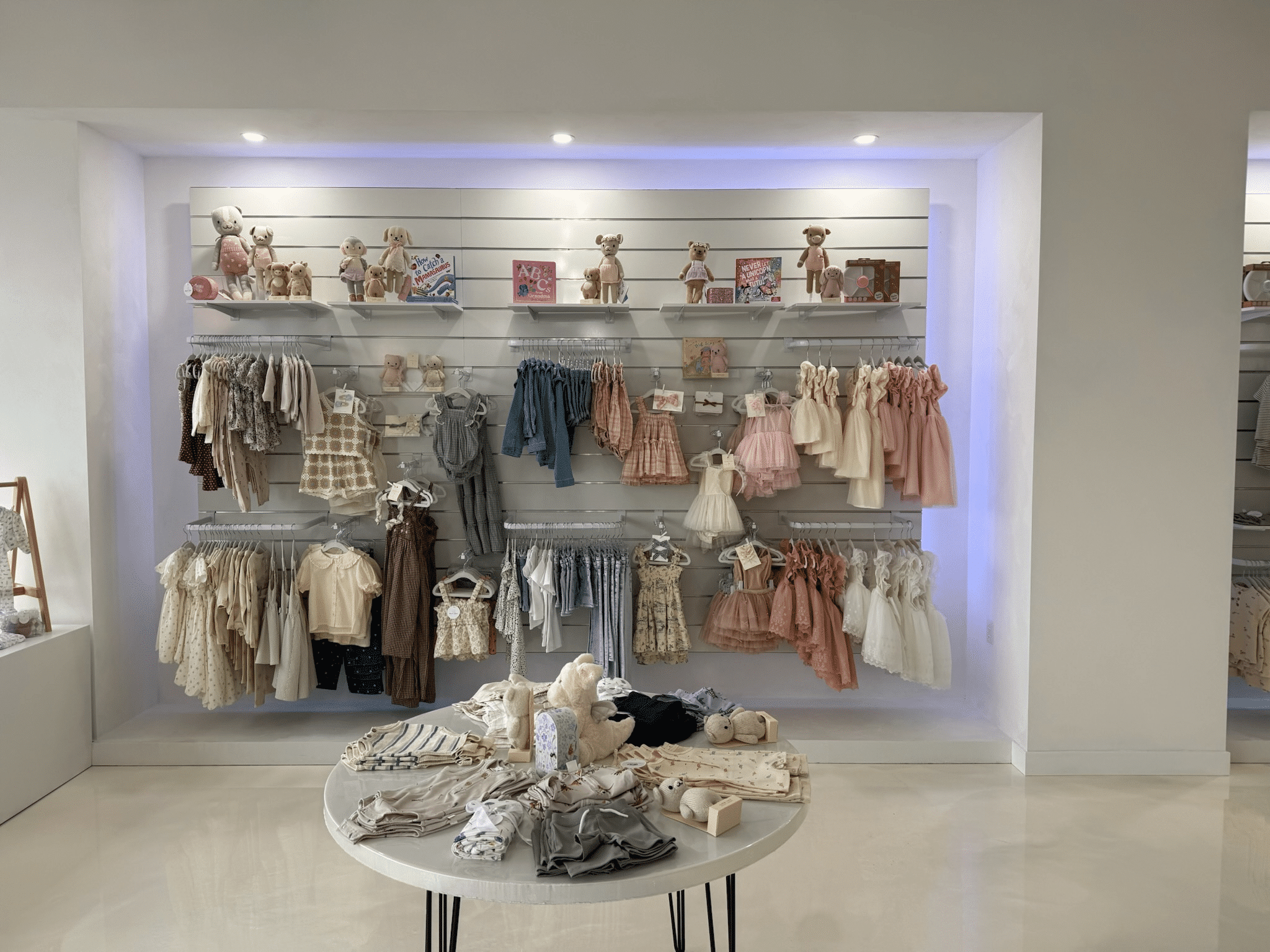 Clothing Store Rack Display